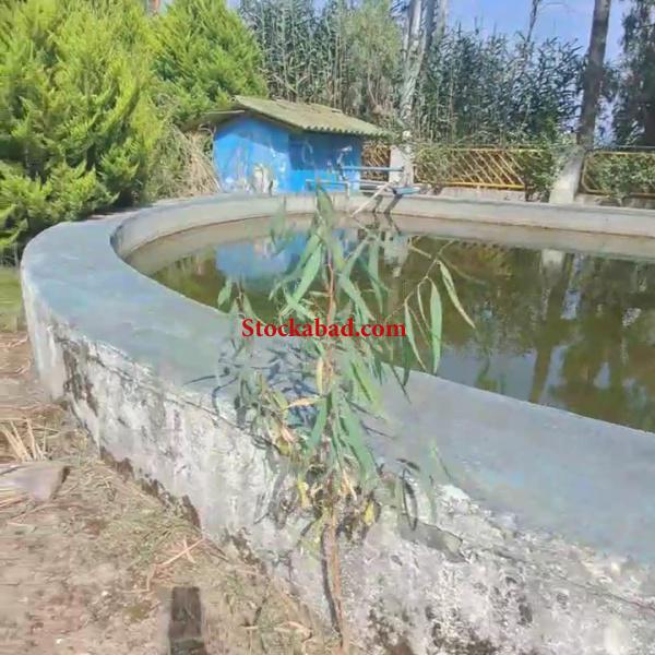 فروش کارخانه ایزوگام