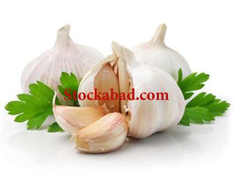 پوست گیر بادی (پنوماتیک) سیر اروپای شرقی