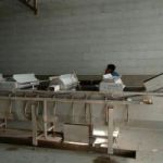 فروش دستگاه شست و شوی سبزی دست دوم استیل در تهران