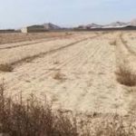 بنگاه فروش زمین صنعتی در اصفهان