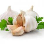 پوست گیر بادی (پنوماتیک) سیر اروپای شرقی